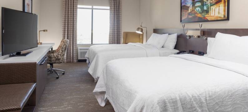 韦科希尔顿花园酒店(Hilton Garden Inn Waco)图片