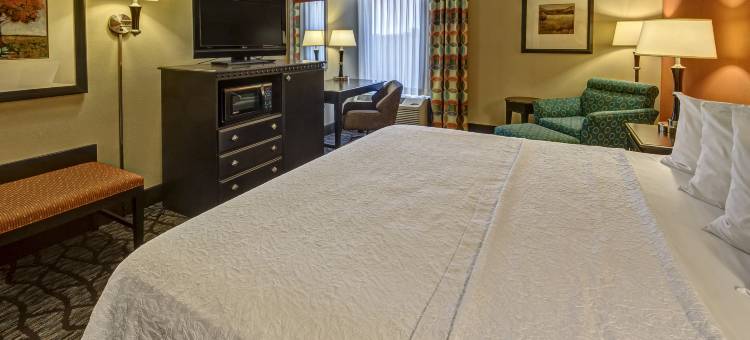 阿什维尔欢朋酒店-隧道路(Hampton Inn Asheville-I-240 Tunnel Rd.)图片