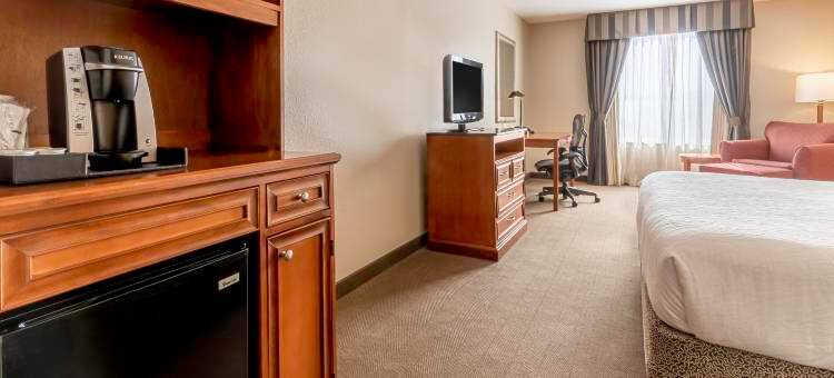 休斯顿/伍德兰斯希尔顿花园旅馆(Hilton Garden Inn Houston/The Woodlands)图片