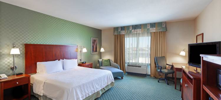 埃尔帕索西欢朋套房酒店(Hampton Inn & Suites El Paso West)图片