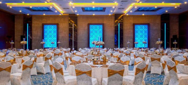 迪亚巴克尔丽笙蓝标酒店(Radisson Blu Hotel Diyarbakir, Turkey)图片