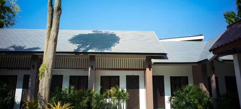 隐居酒店(The Hermitage)图片