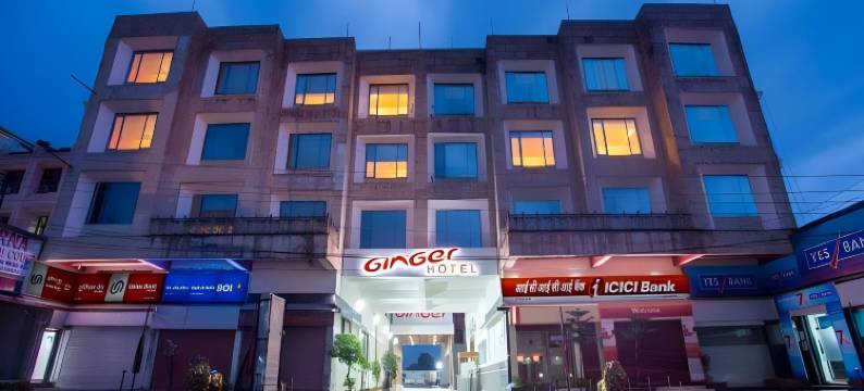 格德拉金杰酒店(Ginger Katra)图片