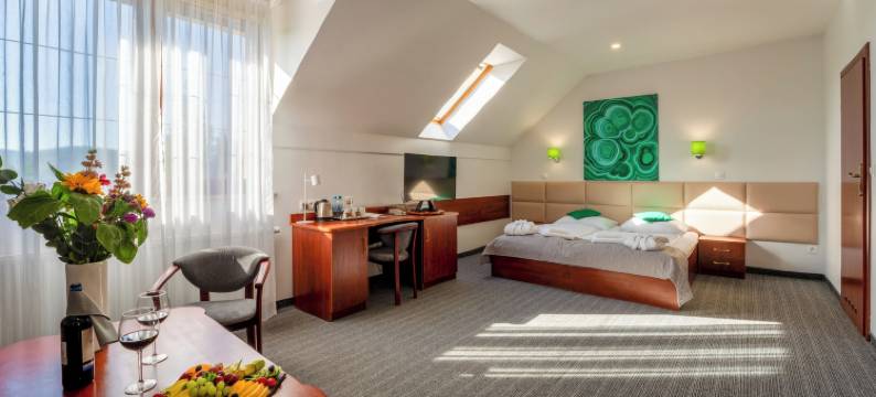 Malachit Karpacz SPA 酒店(Malachit Karpacz Spa Hotel)图片