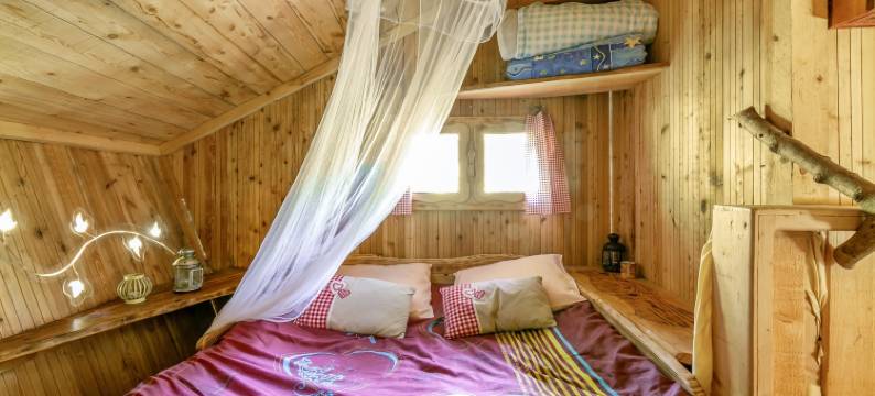 阿尔布雷卡巴内酒店(L'Arbre à Cabane)图片