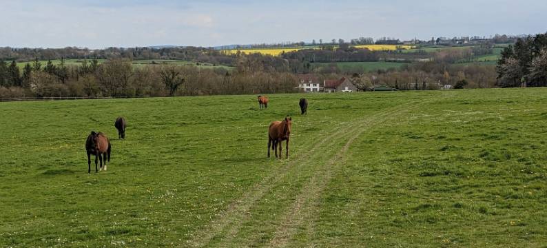 哈瓦托特马场(Le Haras D Havetot)图片