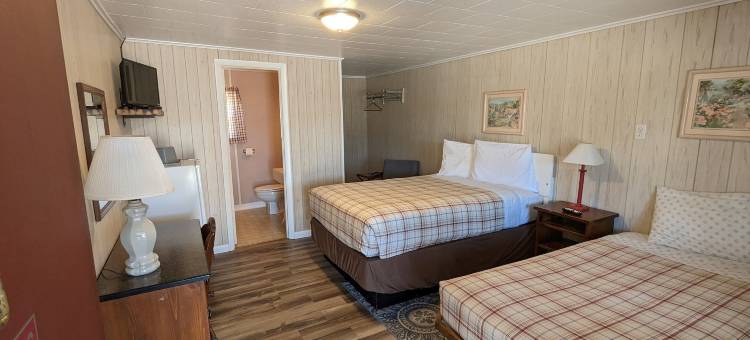 Nova汽车旅馆(The Nova Motel)图片