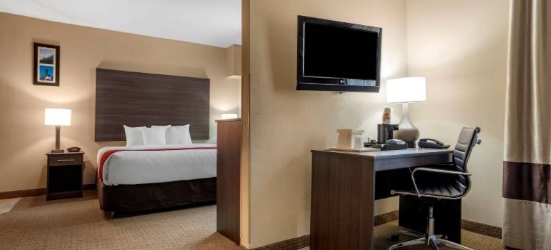 莫比尔舒适全套房酒店(Comfort Suites Mobile West/Tillmans Corner)图片