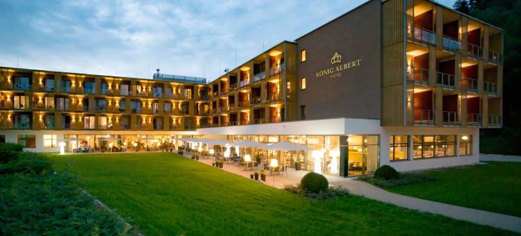 阿尔贝国王酒店(Hotel König Albert)图片