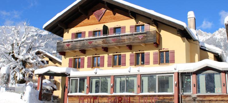 迪利尔伽尼酒店(Die Lilie / Hotel Garni)图片