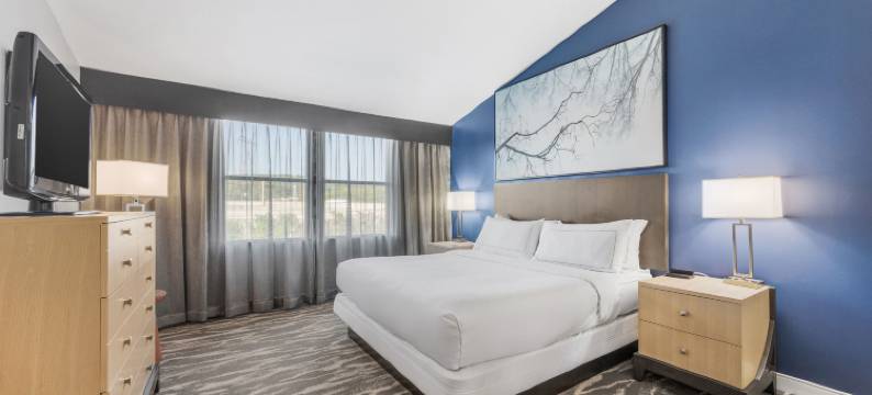 亨茨维尔南希尔顿逸林套房酒店(DoubleTree Suites by Hilton Huntsville South)图片