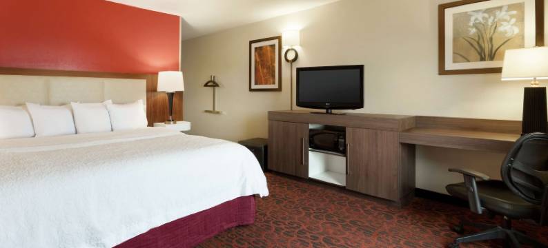 赛克斯森特商城威奇托福尔斯欢朋酒店(Hampton Inn Wichita Falls-Sikes Senter Mall)图片