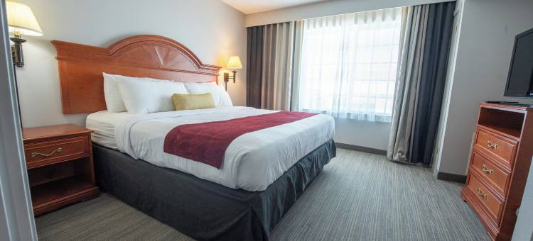 钻石乔沃斯娱乐场酒店(Diamond Jo Worth Casino & Hotel)图片