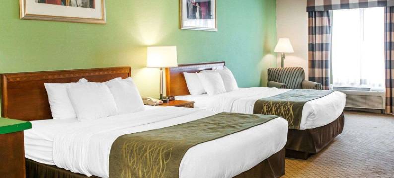 戈申舒适酒店(Comfort Inn)图片