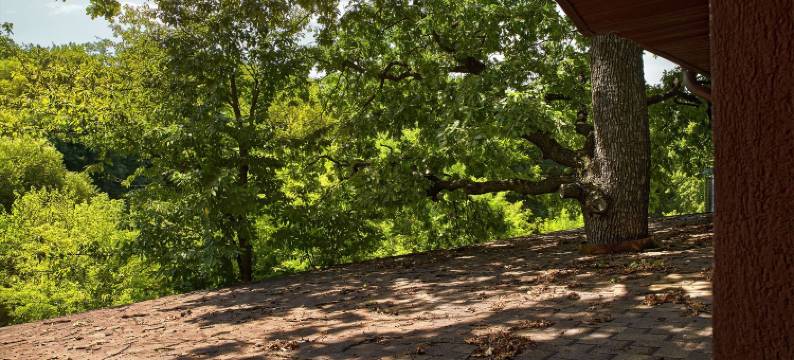 Complex Turistic Codru 科德鲁旅游综合体(Complex Turistic Codru)图片