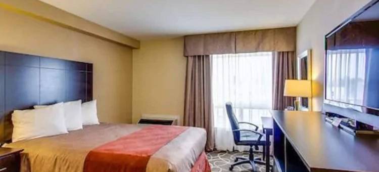 剑桥Travelodge by Wyndham(Travelodge by Wyndham Cambridge - Waterloo)图片