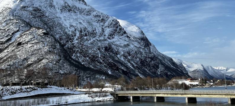 Frich's快捷酒店(Frich´s Express Hotel)图片