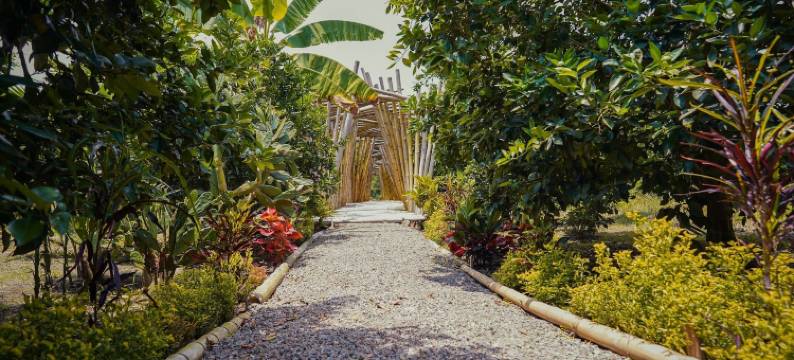 Amanatu生态旅馆和水疗中心(Amanatu Ecolodge & Spa)图片