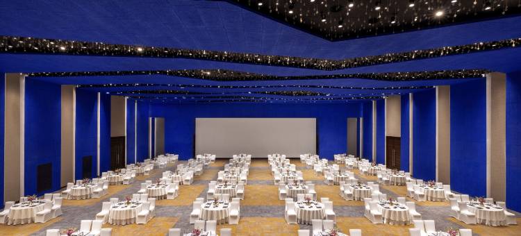 诺富特齐普尔会议中心酒店(Novotel Jaipur Convention Centre)图片