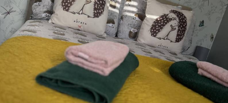 布彻阿姆斯弗瑞豪斯酒店(The Butchers Arms Freehouse)图片