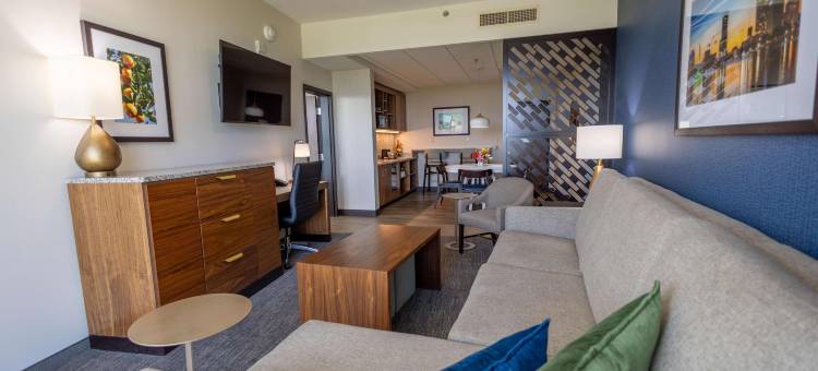 德鲁里广场酒店奥兰多-迪士尼温泉区(Drury Plaza Hotel Orlando - Disney Springs Area)图片