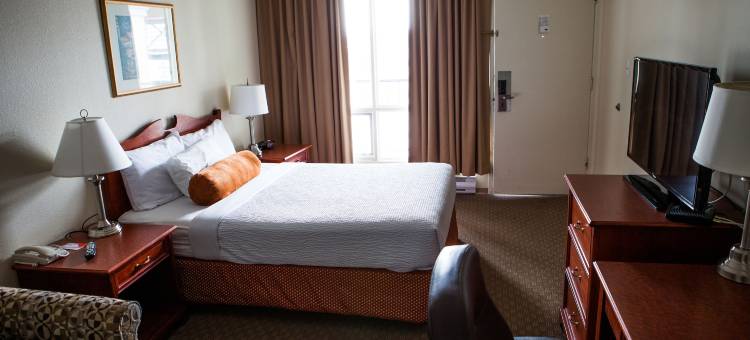 莱斯布里奇骑士酒店(Knights Inn Lethbridge)图片