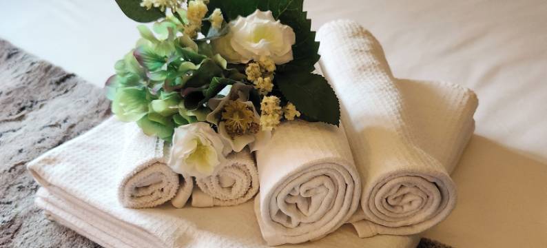 盖亚套房民宿(Gaia Suites - A Due Passi Dal Centro - Parcheggio Privato)图片