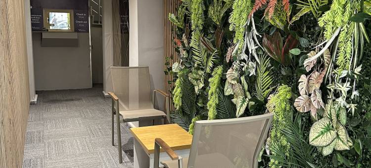 Viyana Exclusive Pansiyon图片