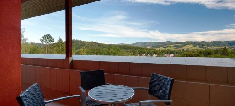 活力康体度假酒店(Wellness Resort Energetic)图片