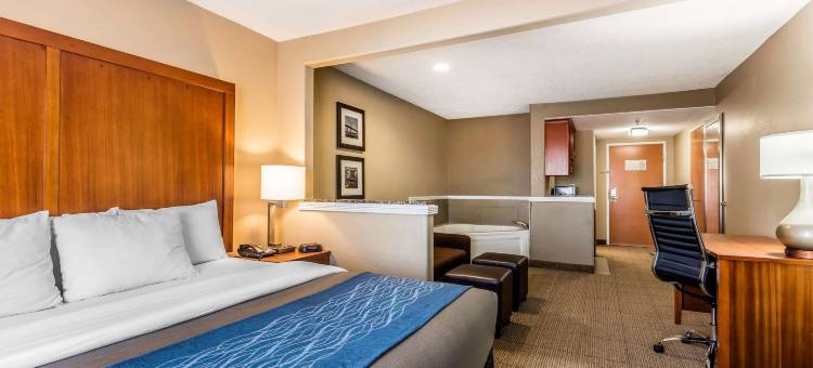 美国之路孟菲斯舒适套房机场酒店(Comfort Inn & Suites Airport-American Way)图片