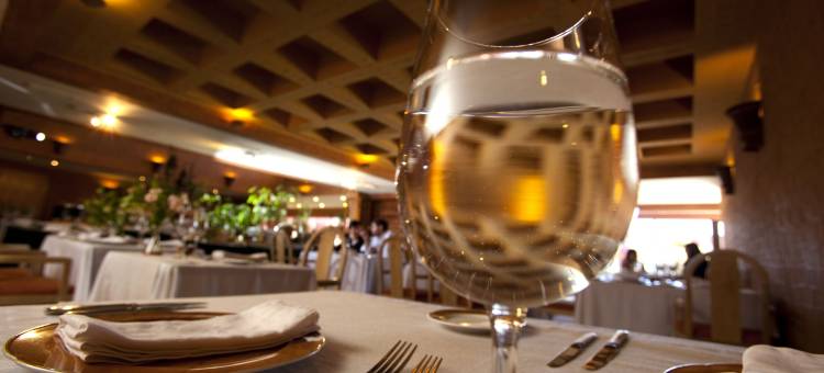 卡拉马公园酒店(Park Hotel Calama)图片