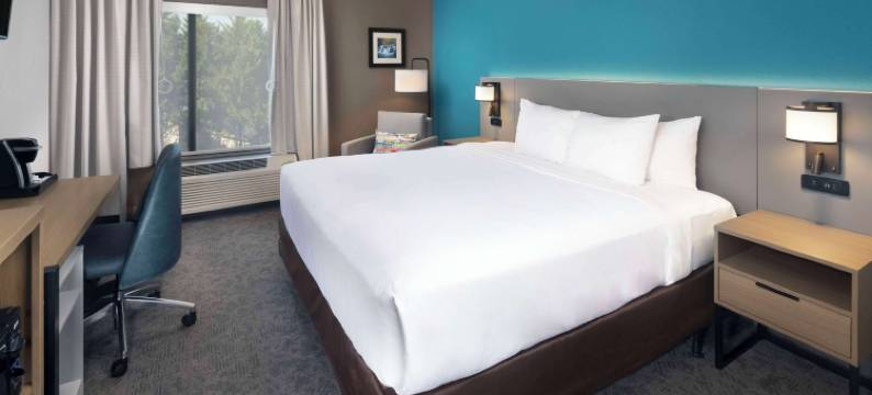 达洛尼加大学区舒适套房酒店(Comfort Inn & Suites Dahlonega University Area)图片