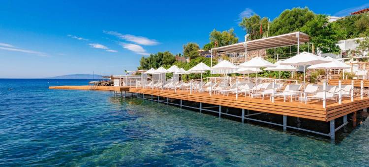 多利亚博德鲁姆酒店(Doria Hotel Bodrum-City Center)图片