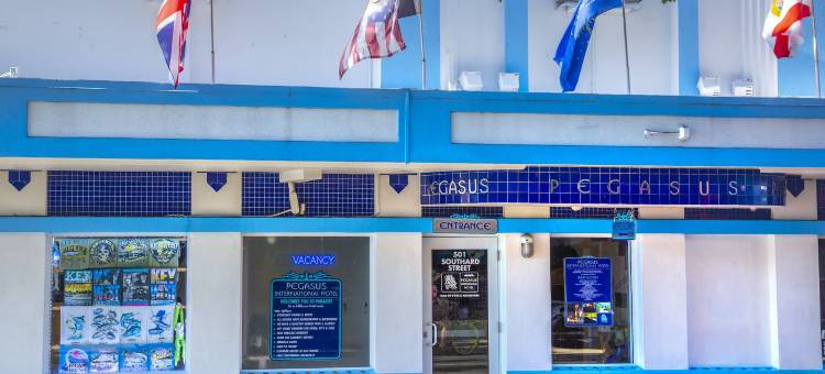 飞马国际酒店(Pegasus International Hotel)图片