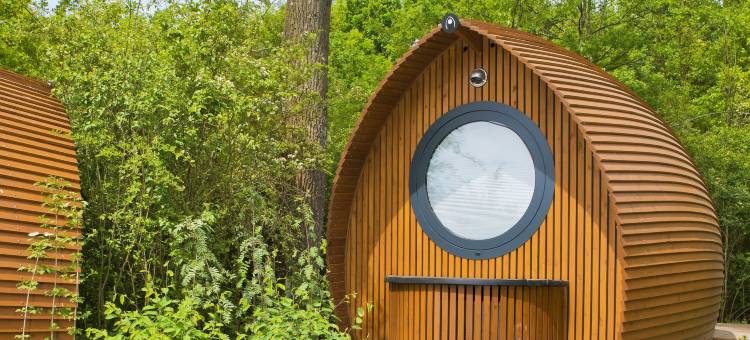 布里斯高生态华丽露营度假村(Glamping Resort Biosphäre Bliesgau)图片