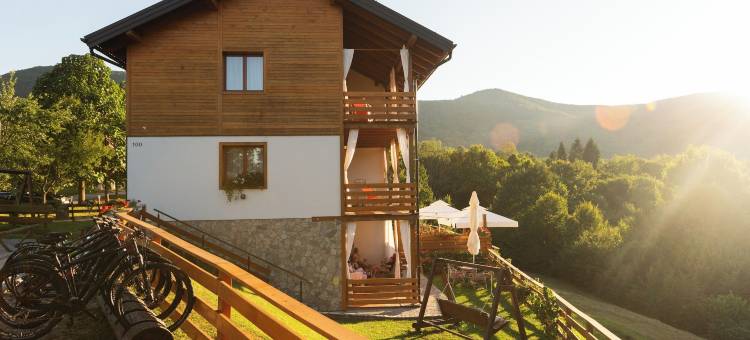 阿帕特马尼布里酒店(B&B Apartments Burić Plitvice Lakes)图片