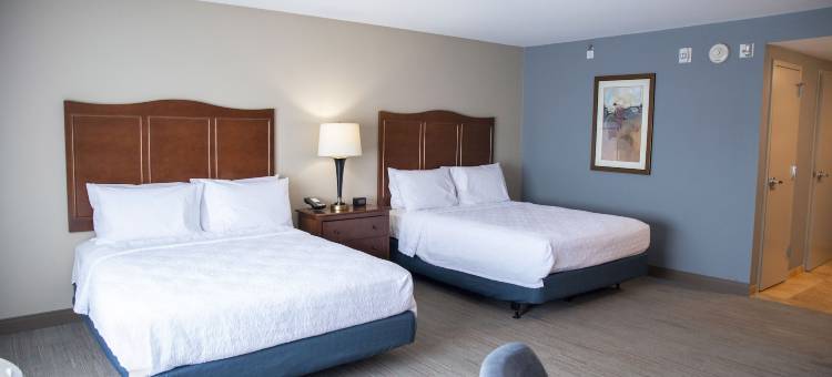 杰克森维尔欢朋酒店(Hampton Inn & Suites Jacksonville)图片