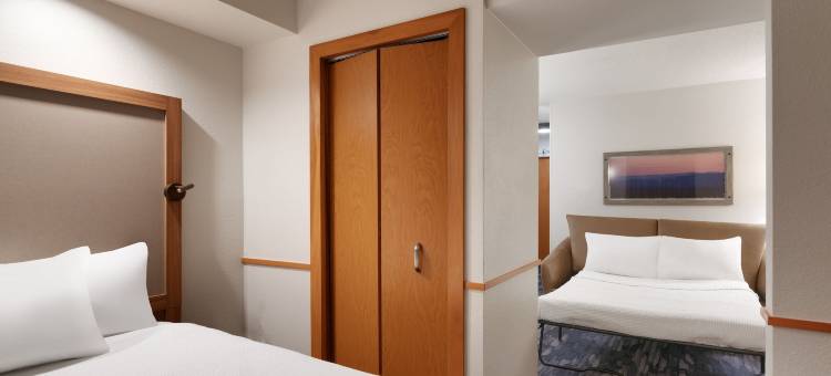 奥尔巴尼万枫套房酒店(Fairfield Inn & Suites by Marriott Albany)图片