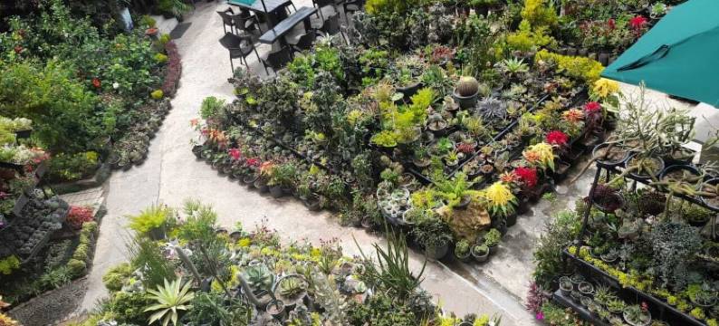 埃拉花卉园度假酒店(Ella Flower Garden Resort)图片