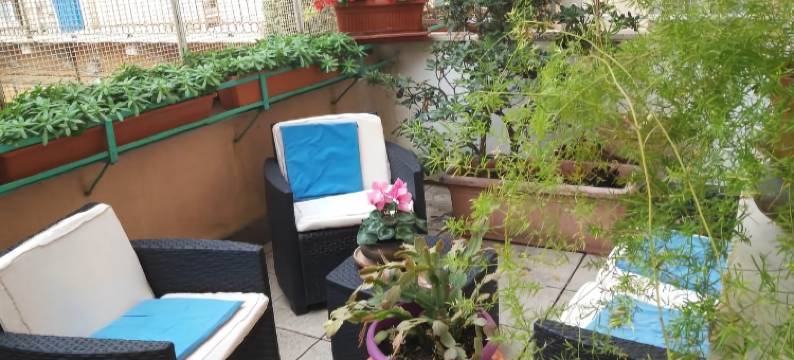 瑟里民宿(Da Selly)图片