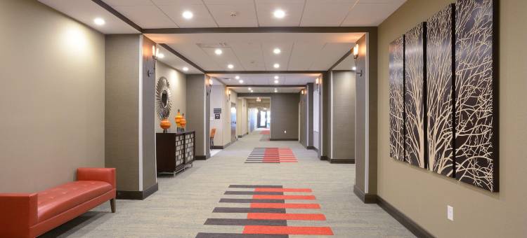 辛辛那提/肯伍德希尔顿欢朋酒店及套房(Hampton Inn & Suites Cincinnati/Kenwood)图片