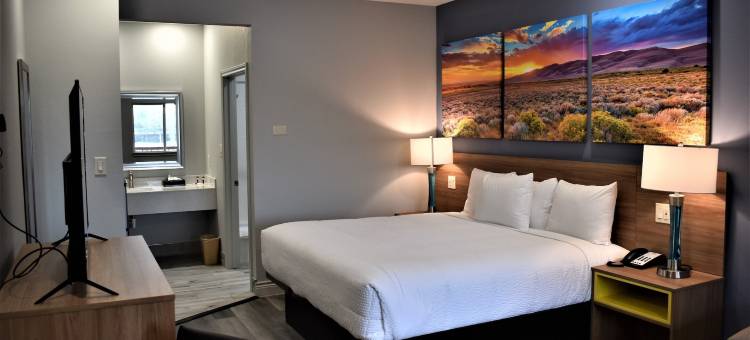 市中心休斯顿大学温德姆戴斯套房酒店(Days Inn & Suites by Wyndham Downtown/University of Houston)图片