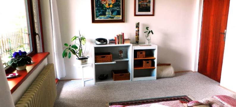 博尔住宿加早餐旅馆(Penzion Bor)图片