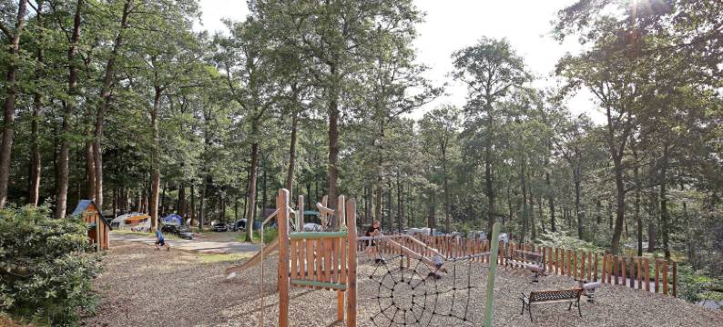 Huttopia 瓦特维尔胡托皮亚瓦特维勒(Huttopia de Wattwiller)图片