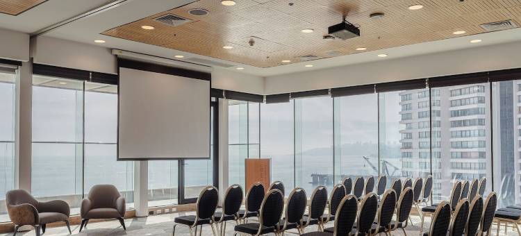 圣马丁比尼亚德尔马铂尔曼酒店(Pullman Vina del Mar San Martín)图片