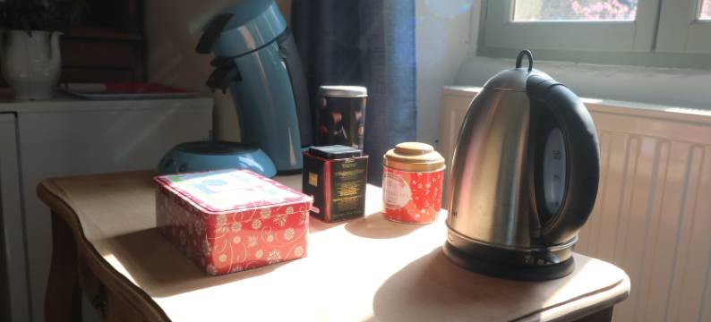 潘杜欧尼克庄园酒店(Le Manoir de Panduonec)图片