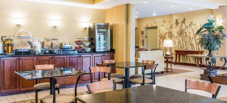 舒眠套房酒店(Sleep Inn & Suites)图片