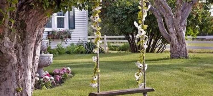 舒适玫瑰旅馆(Cozy Rose Inn)图片