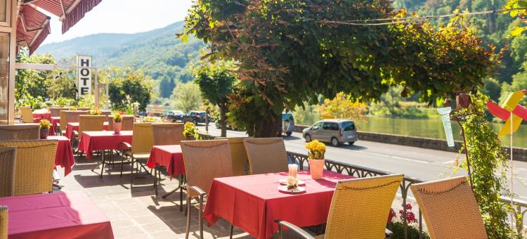 苏木鲁文默赛罗曼蒂克酒店(Moselromantik-Hotel Zum Löwen)图片