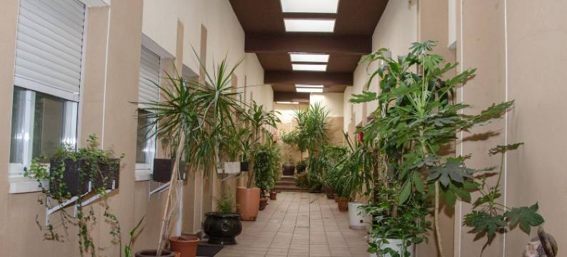 阿尔卡拉城住宿(Ciudad de Alcala)图片